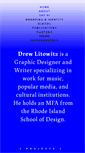 Mobile Screenshot of drewlitowitz.com